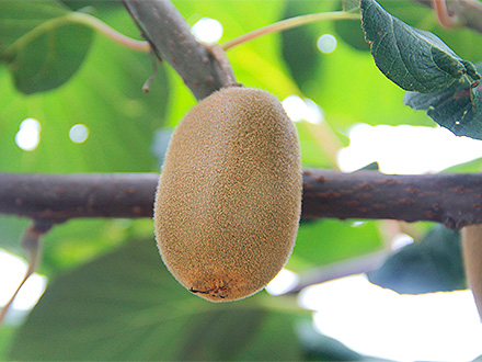 九游体育app下载基地展示二