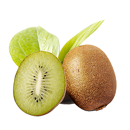 九游体育app下载产品中心六